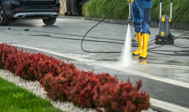 Best Residential Exterior Washing  in Scenic Oaks, TX